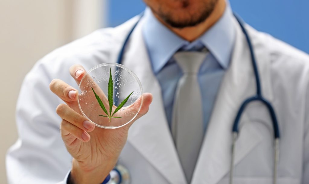 Illustrative: A doctor holding a cannabis leaf. Photo by Deposit Photos