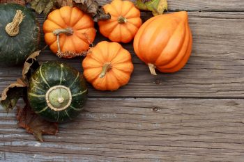 Autumn pumpkins on a wooden board. Photo via Deposit Photos
