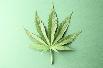 A cannabis leaf. Deposit Photos