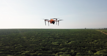 A drone flies over a field. Courtesy of SeeTree