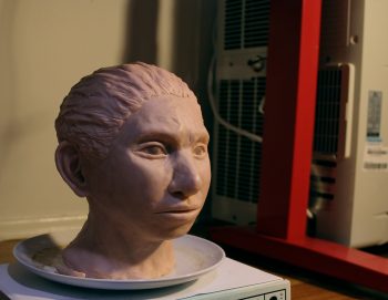 A 3D-printed reconstruction of a female Denisovan. Photo by Maayan Harel