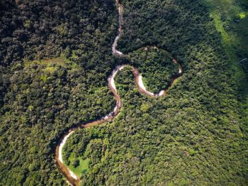 A top view of the river in the Amazon rainforest in Brazil. Deposit Photos