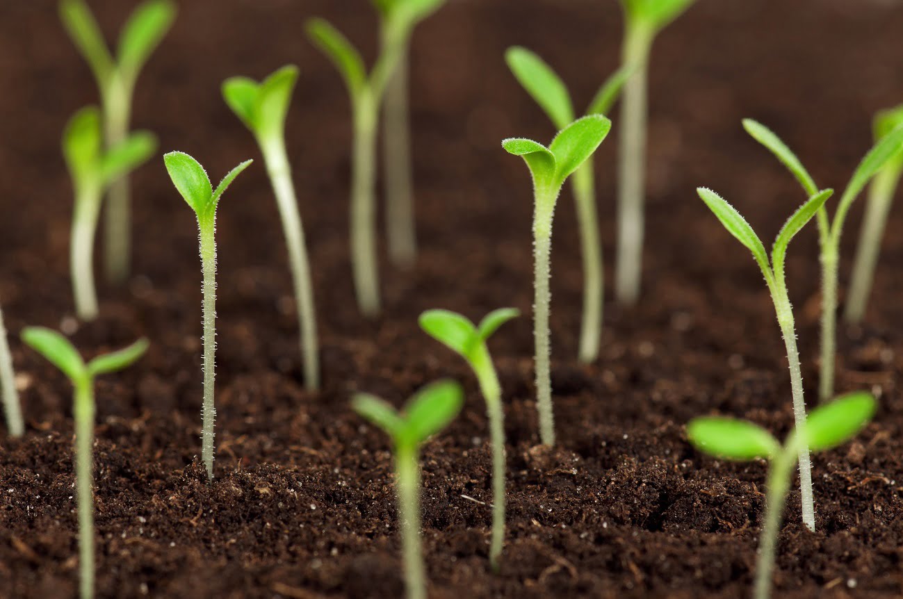 Israel's Largest Food-Agri Tech Events Hit Tel Aviv This Week