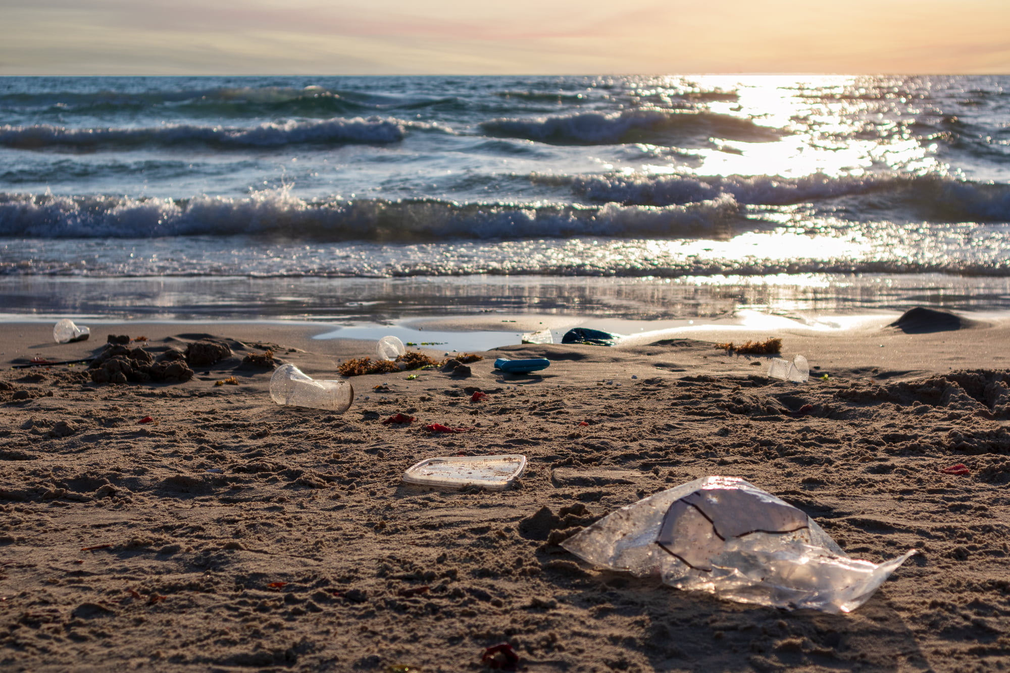 Israel Proposes New Tax To Reduce Single-Use Plastic Consumption