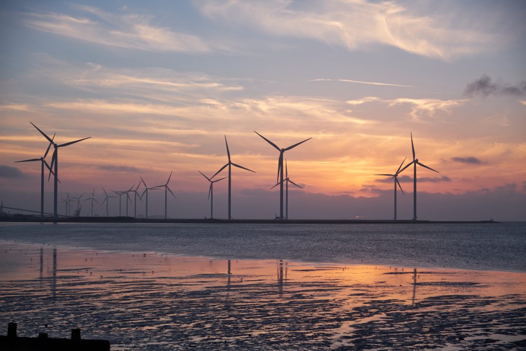 Wind turbines. Illustrative. Photo: Pexels
