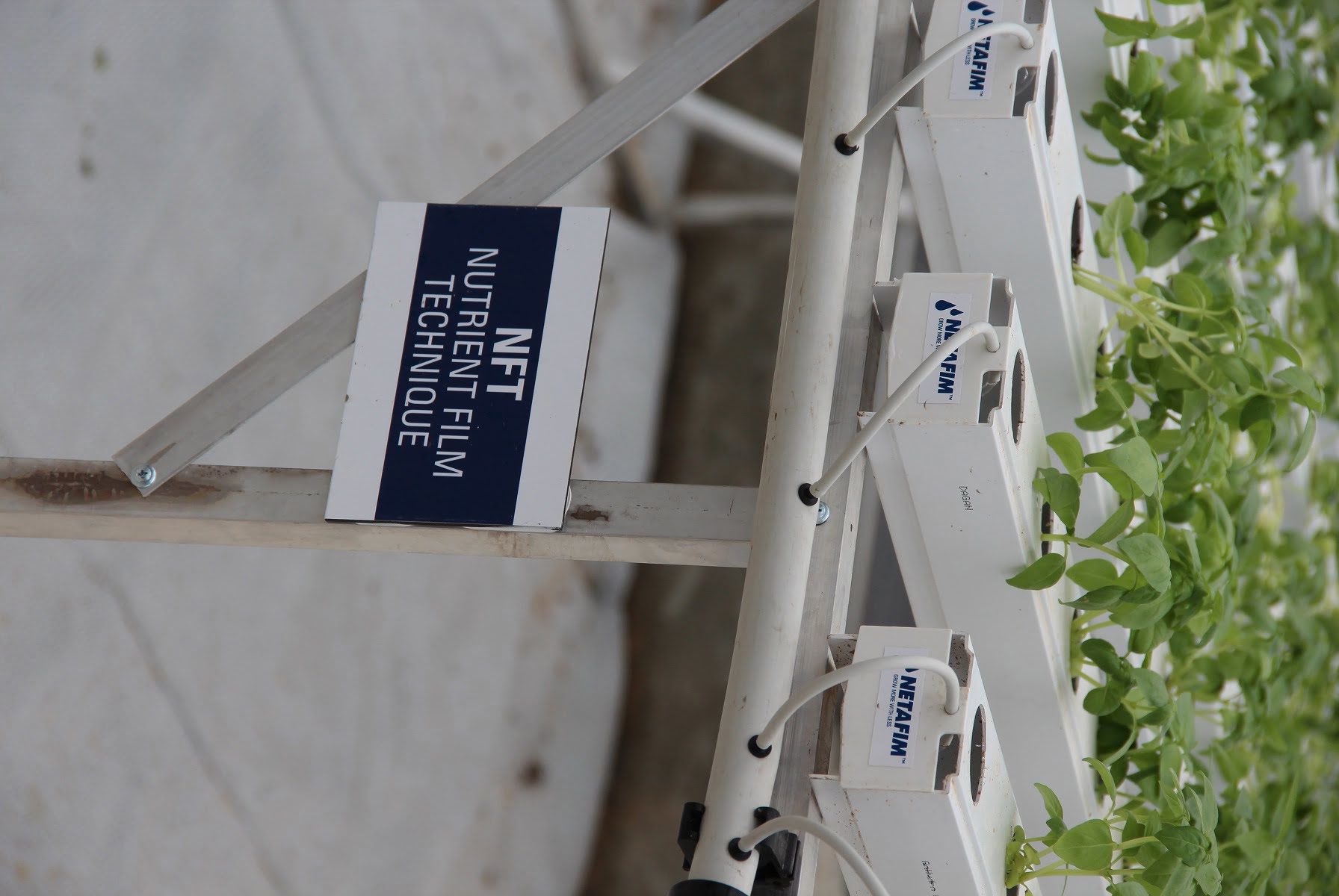 From Drip Irrigation To Digital Farming, Netafim Delivers Innovative