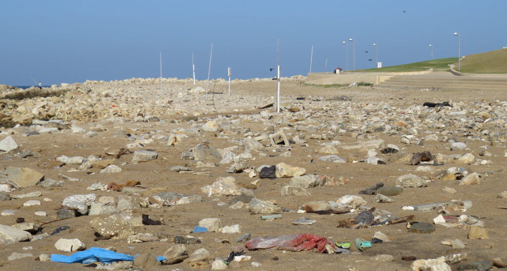 Beach litter. Photo via Plastic Free Israel