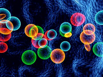 Illustration of cells.