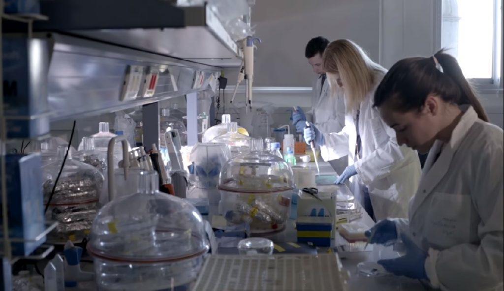 Professor Ester Segal's lab at the Technion. Screenshot