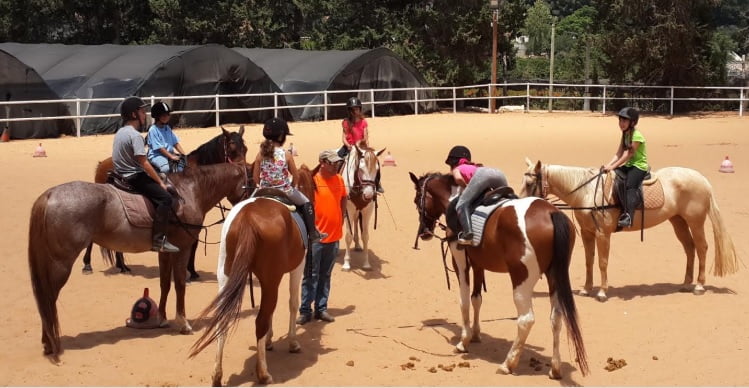 INTRA provides equine therapy in Israel. Screenshot/Intra.org.il
