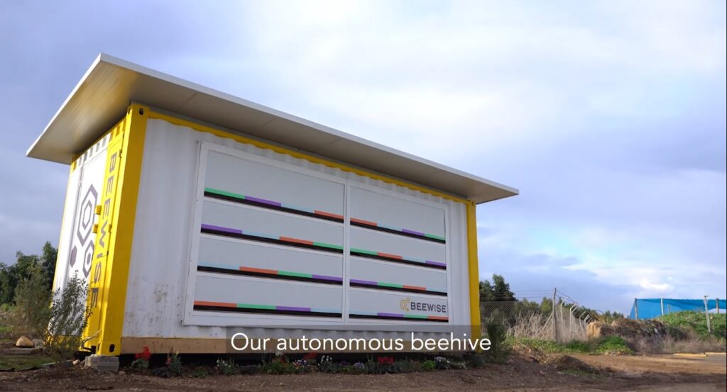 Israeli company Beewise created an autonomous beehive. Screenshot 