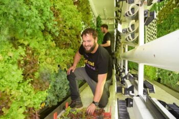 Vertical Field's vertical farms and gardens yield fresh produce on-site. Courtesy