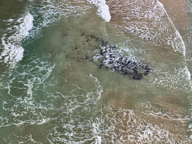 Lumps of tar in the Mediterranean Sea off the shores of Israel. Photo: Nir Vaks