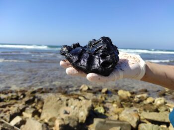 A clump of tar on a beach in Israel following the February 2021 oil spill. Photo: Rachel Pardo
