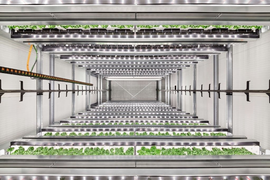 Infarm's high-capacity farming unit. Photo: Infarm /Diephotodesigner.de