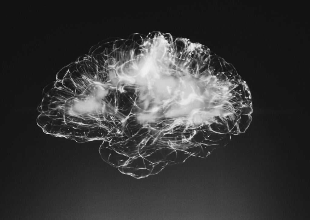 A 3D illustration of the brain. Photo by Alina Grubnyak on Unsplash