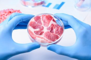 cultured lab grown meat