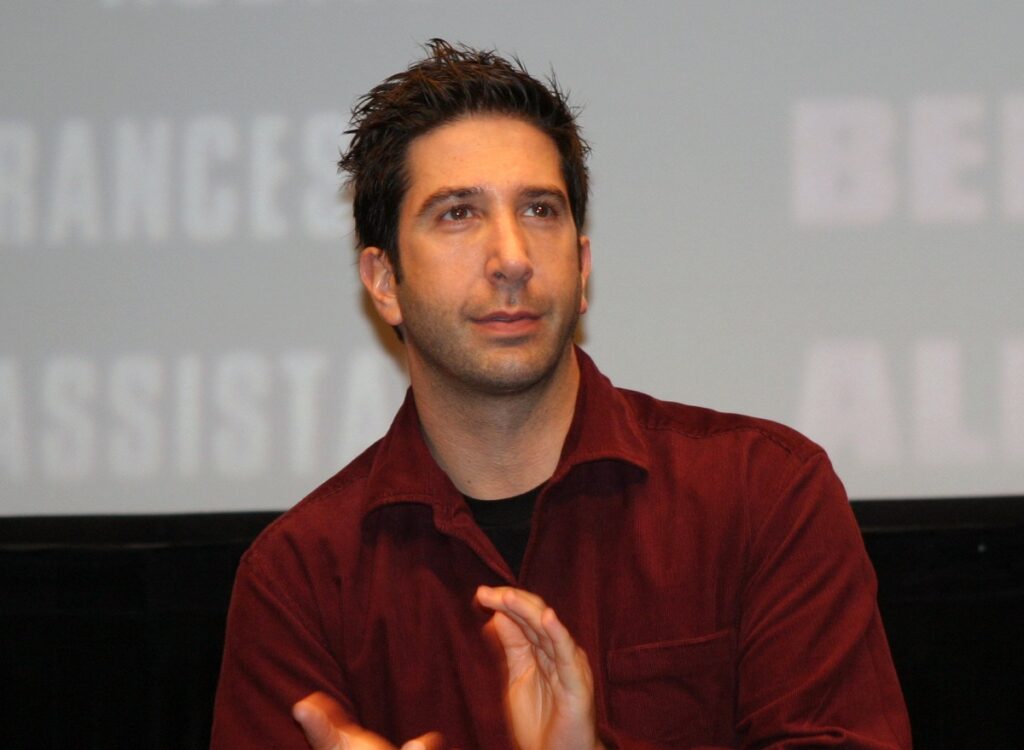 david schwimmer