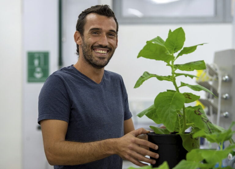 After Soy Milk And Almond Milk…It’s Lettuce Milk