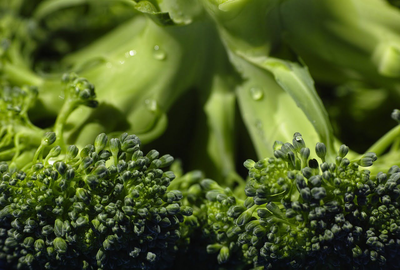 Broccoli Leaves Hold Key To Fighting Crop Disease