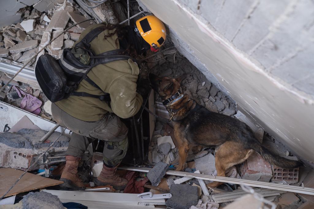 idf spokesperson's unit dog rescue turkey earthquake