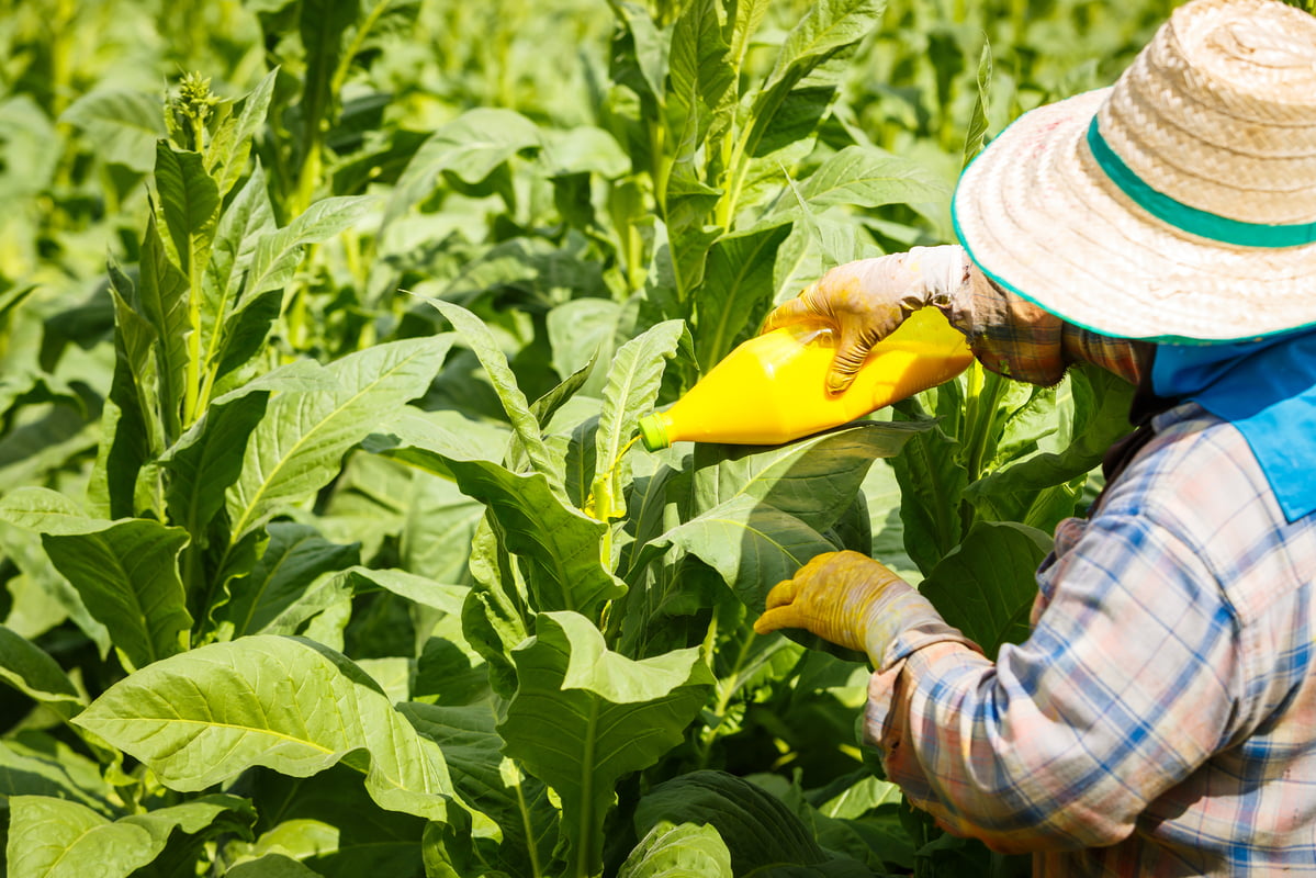 Tech Saves Farmers From Using Too Much Fertilizer