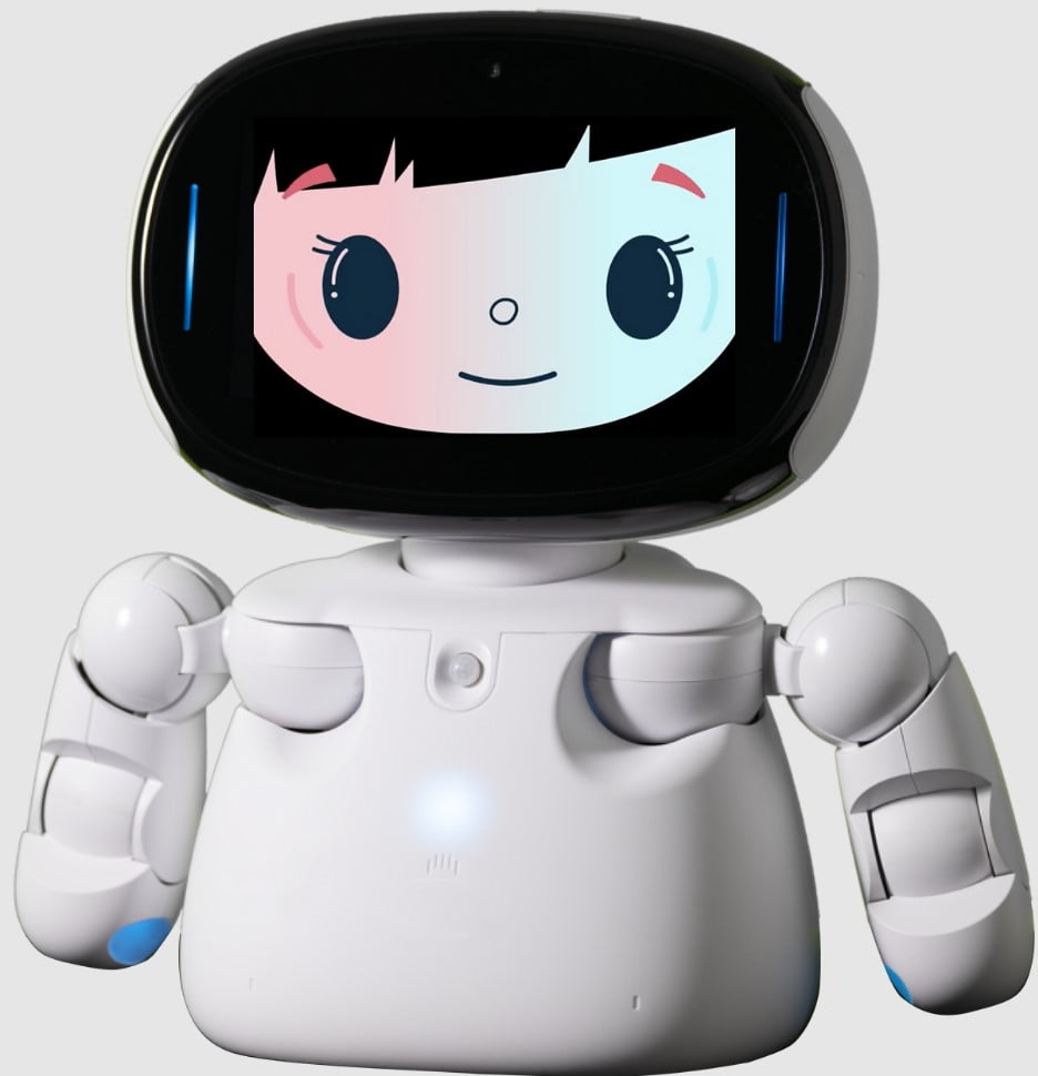 Meet Misa, the social family-friendly robot that does it all