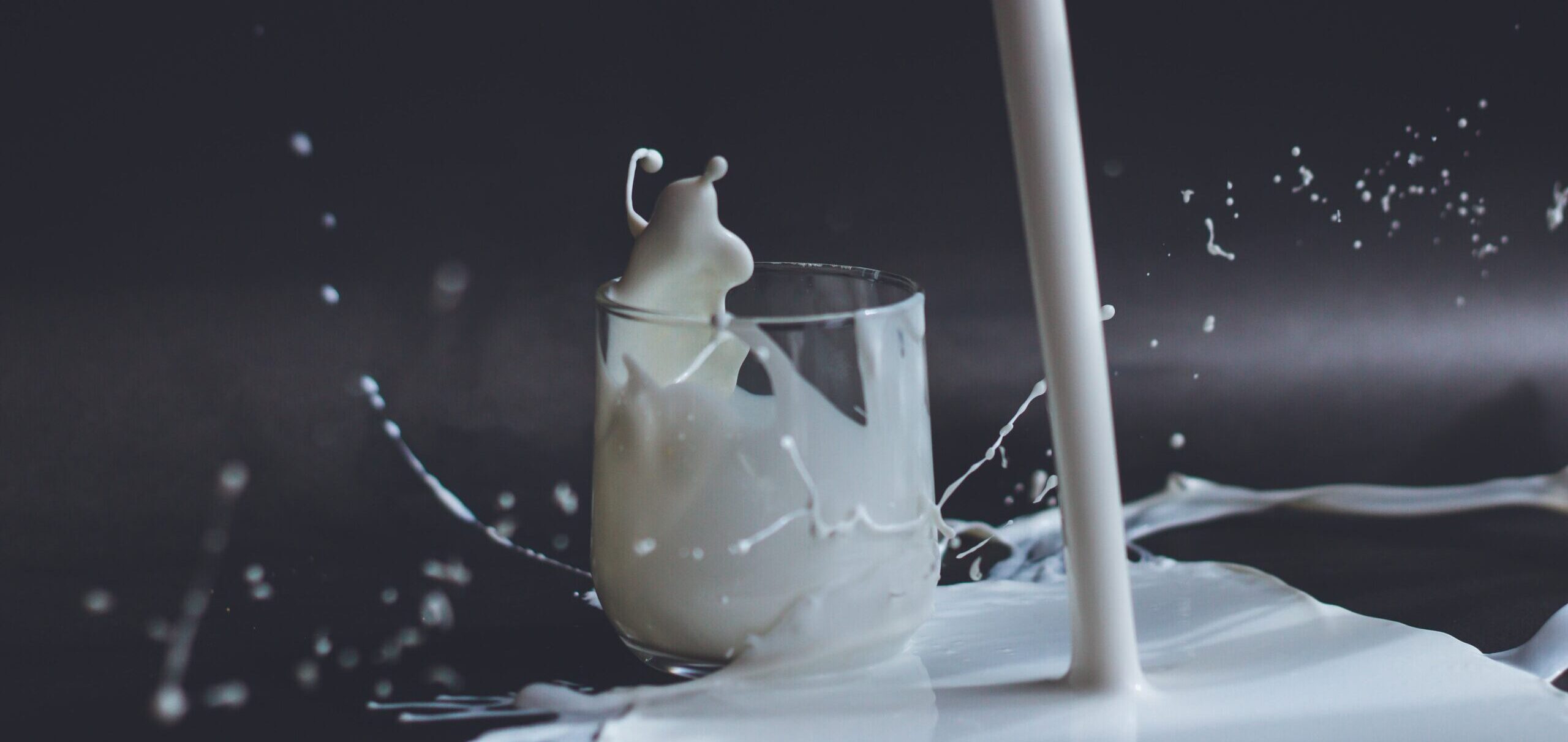 Startup Making Milk From Mushrooms Gets FDA Approval - NoCamels - Israeli Innovation News