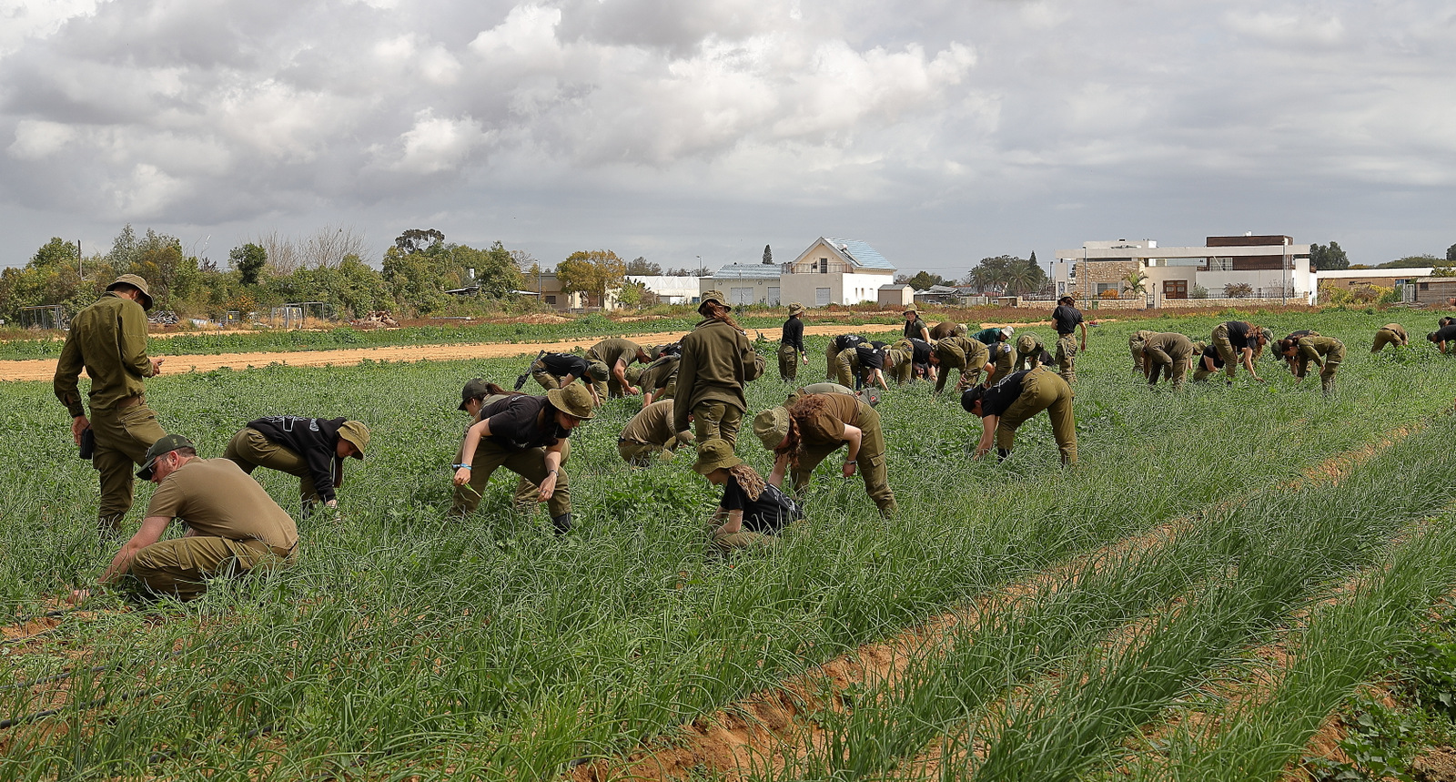 Israeli Nonprofits Team Up On Financial Help For Stricken Farmers